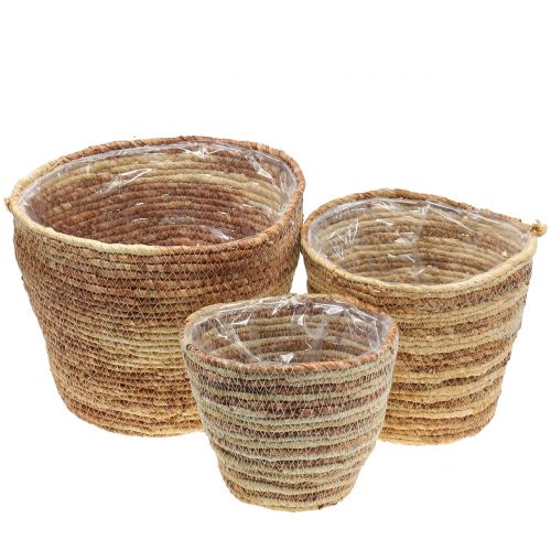 Floristik24 Plantenmand rotan natuur/bruin Ø26/22/16cm 3st