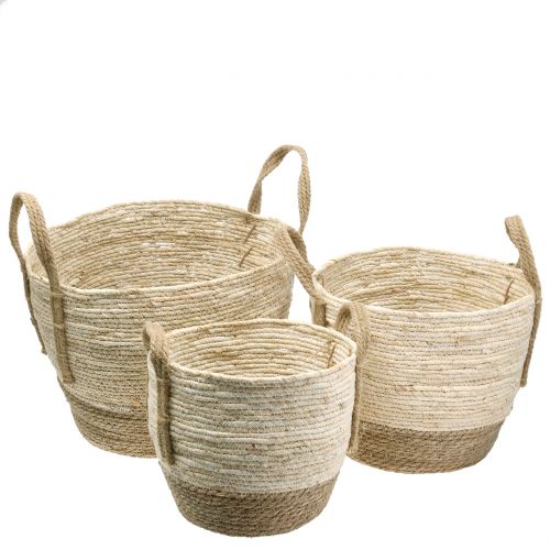 Floristik24 Rotan mand natuur/bruin Ø40/32/26cm 3st