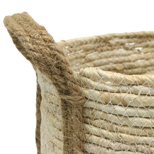 Floristik24 Rotan mand natuur/bruin Ø40/32/26cm 3st