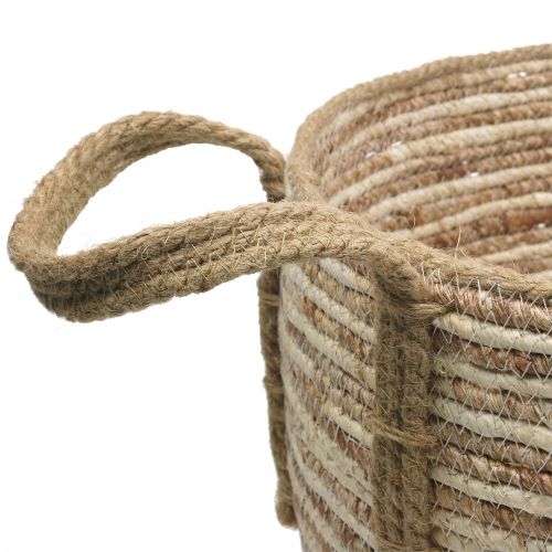 Floristik24 Rotanmand naturel / bruin Ø40 / 32 / 26cm 3st