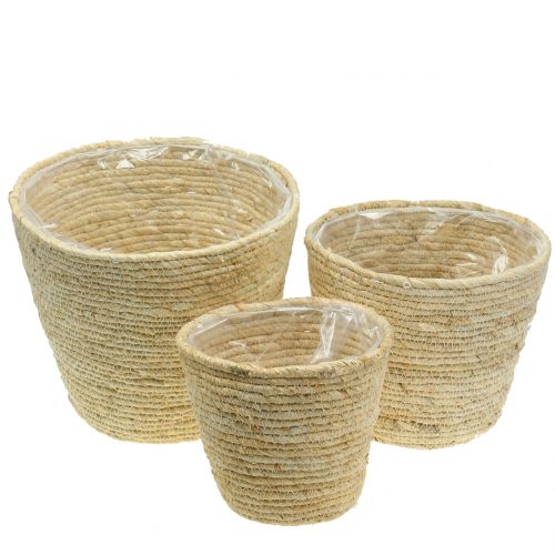 Floristik24 Plantenmand rotan naturel Ø26/22/16cm 3st