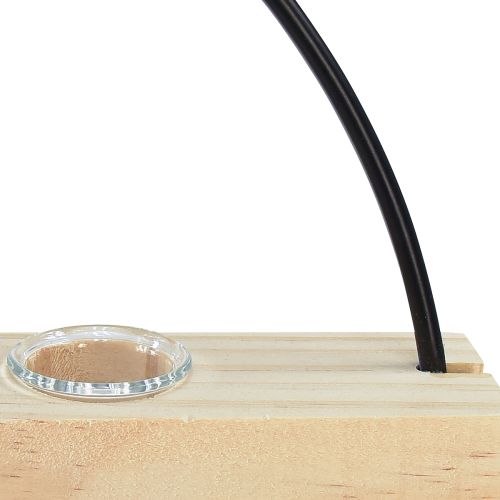Artikel Reageerbuis siervaas sierring metaal zwart 29×4×29cm