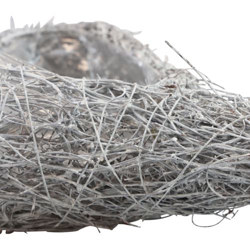 Artikel Vine hart plant hart planten schaal wit naturel 16×21×8cm