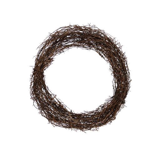 Floristik24 Wijnrankenkransen Ø10cm 20 st