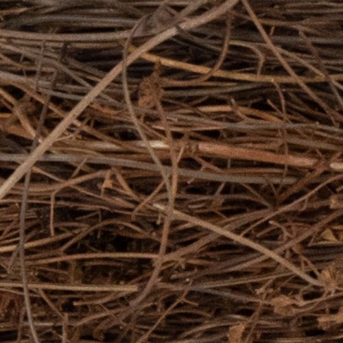 Artikel Natuurlijke druivenkrans Ø15cm, set van 10 - Ideaal voor herfst-, kerst-, paas- en rouwdecoraties