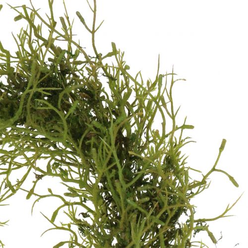 Floristik24 Lentekrans met mosgroen Ø30cm