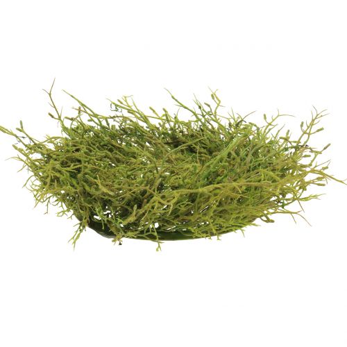 Floristik24 Lentekrans met mosgroen Ø30cm