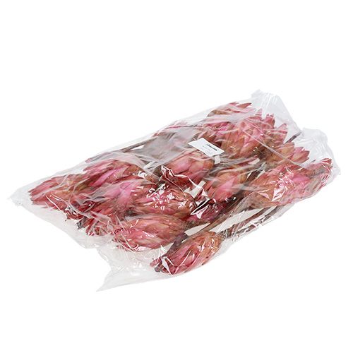 Artikel Repens Erika 25 st