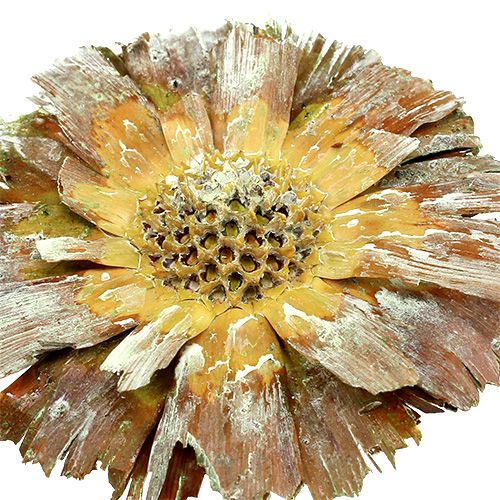 Artikel Repens rozet groen mat 8cm - 9cm 25 st