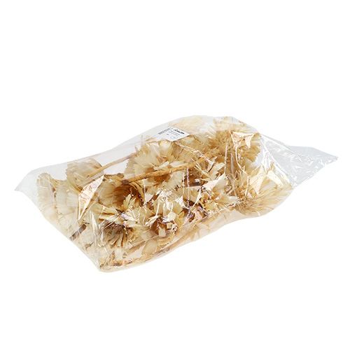 Artikel Repens rozet gebleekt 8-9cm 20 st