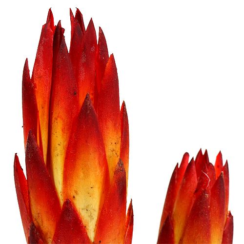 Artikel Repens Rood klein 50 st