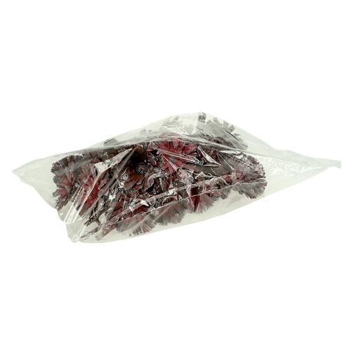 Artikel Protea rozet gespikkeld mat Ø8-9cm 25 st