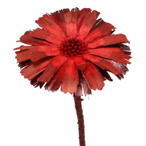 Artikel Repens Rozet Rood 8cm - 9cm 25 st