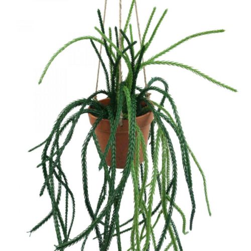 Floristik24 Rhipsalis kunstmatige koraalcactus hangmand H87cm