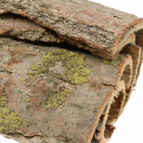 Floristik24 Boomschors voor handwerk natuur 13cm 1kg