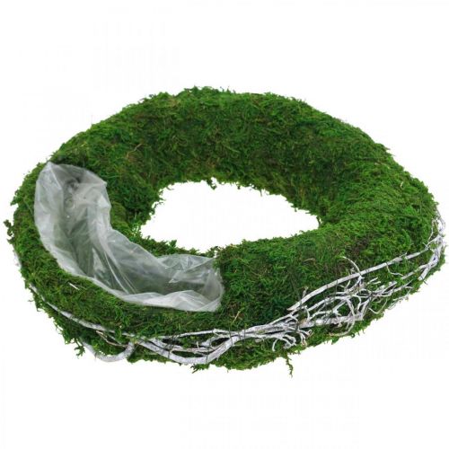 Floristik24 Moskrans plantenring met ranken en mosgroen, wit Ø35cm