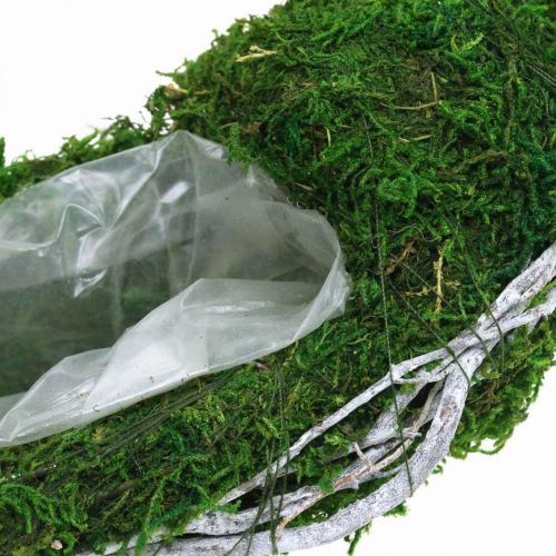 Floristik24 Moskrans plantenring met ranken en mosgroen, wit Ø35cm