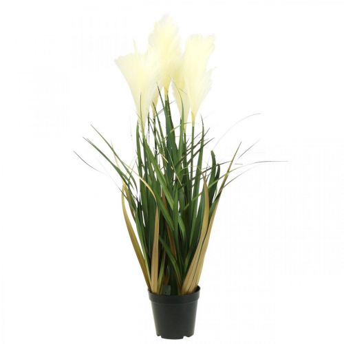 Floristik24 Zeggegras Kunstmatige Potplant Crème, Groen 79cm