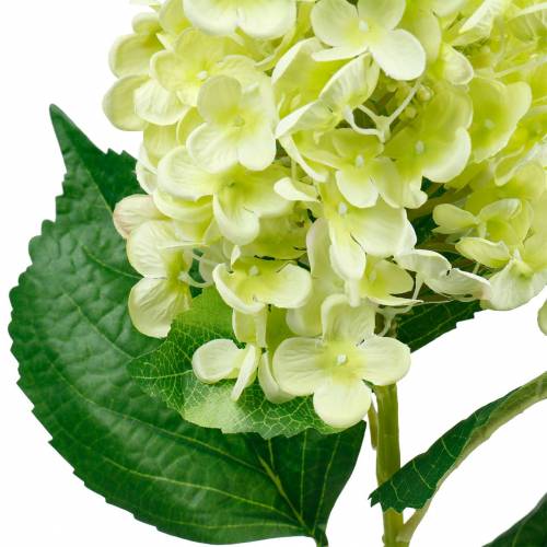Artikel Kunstmatige pluimhortensia, hortensia groen, hoge kwaliteit zijden bloem 98cm