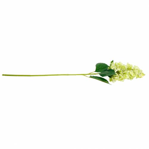 Floristik24 Kunstmatige pluimhortensia, hortensia groen, hoge kwaliteit zijden bloem 98cm