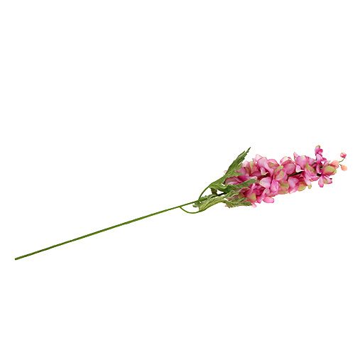 Floristik24 Delphinium roze 60cm