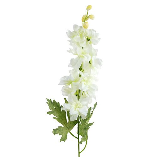 Floristik24 Witte ridderspoor L60cm