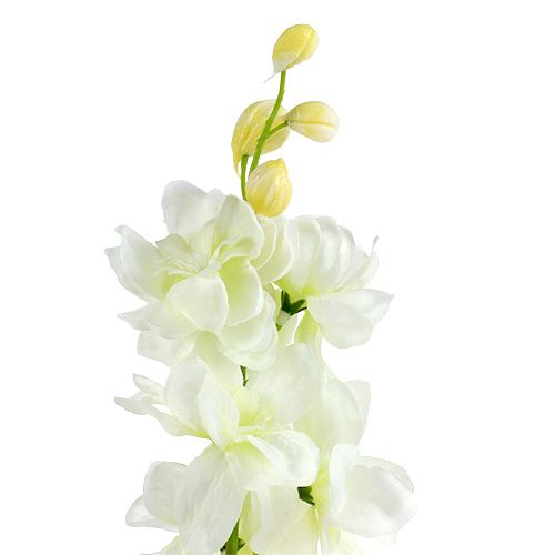 Floristik24 Witte ridderspoor L60cm