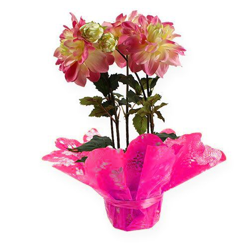 Floristik24 Rondella manchetten Ø58cm roze 50st