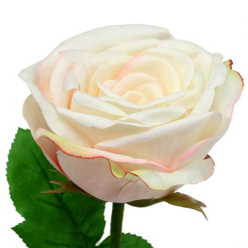 Floristik24 Kunstmatige rozencrème 69cm
