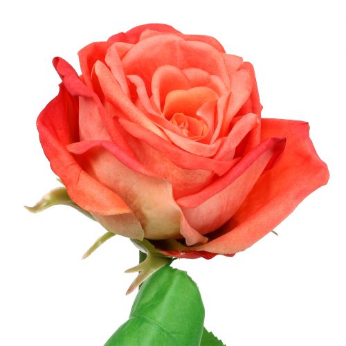 Floristik24 Rose kunstbloem zalm 67.5cm