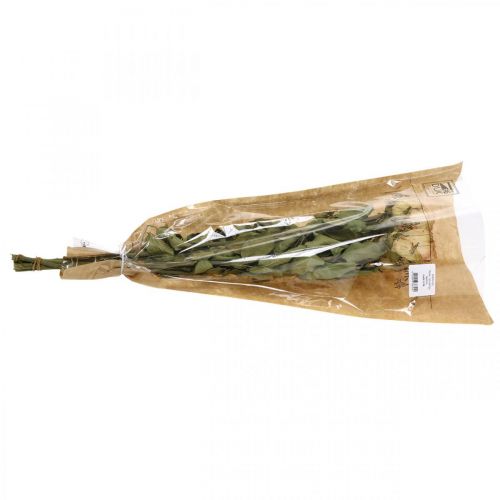 Floristik24 Decoratieve rozen, droogbloemen, gedroogde rozen, Valentijnsdag, rouwbloemisterij, rustieke rozen geelroze L48cm 5 stuks