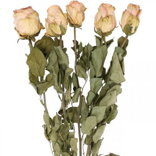 Sierrozen, gedroogde bloem, gedroogde rozen, Valentijnsdag, rouwbloemen, rustieke rozen geel-roze L48cm 5st