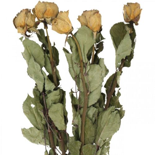 Droogbloemroos, Valentijnsdag, droogbloemisterij, rustieke decoratieve rozen geel-violet L45-50cm 5 stuks