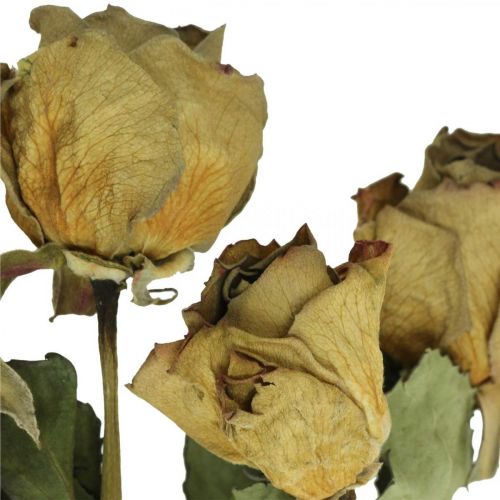 Floristik24 Gedroogde bloem roos, Valentijnsdag, gedroogde bloemisterij, rustieke decoratieve rozen geel-violet L45-50cm 5st