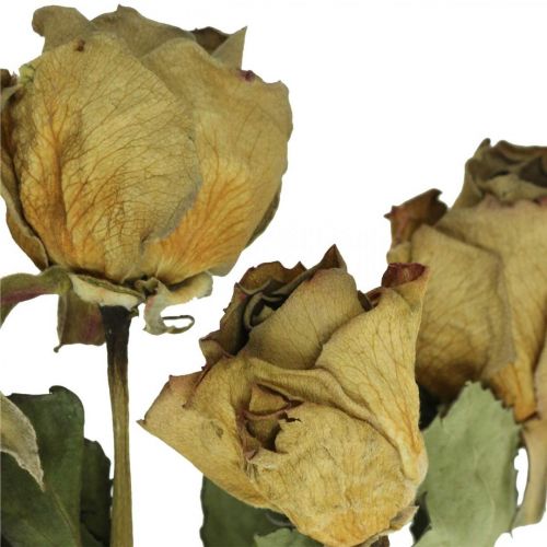 Floristik24 Droogbloemroos, Valentijnsdag, droogbloemisterij, rustieke decoratieve rozen geel-violet L45-50cm 5 stuks