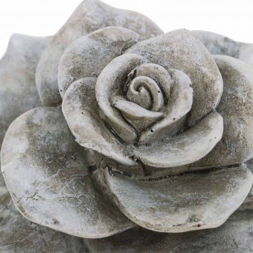 Floristik24 Decoratief rozegrijs Ø9.3cm