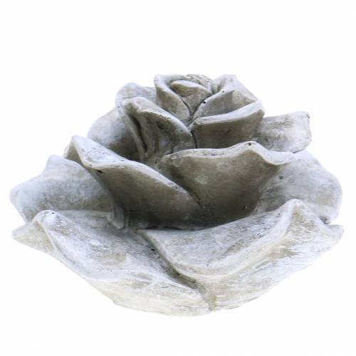 Floristik24 Decoratief rozegrijs Ø9.3cm