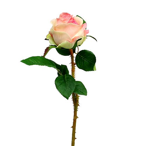 Floristik24 Kunstroos crème-roze Ø9cm L45cm 1 stuk