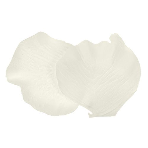Floristik24 Rozenblaadjes creme 4.5cm 144p