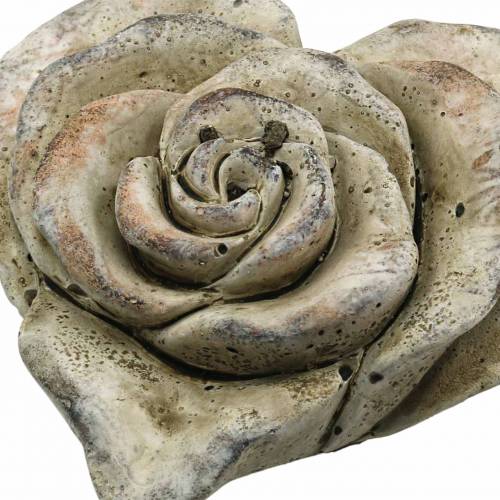 Floristik24 Beton roos hart grijs, abrikoos Ø13 H5cm 3 st