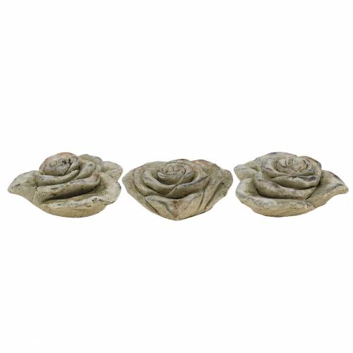 Floristik24 Beton roos hart grijs, abrikoos Ø13 H5cm 3 st