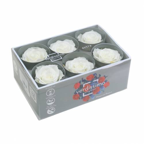 Artikel Infinity Rozen Groot Ø5,5-6cm Wit 6 st