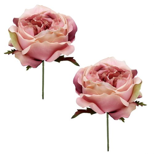 Floristik24 Rozenkop crème, roze 17cm 4st