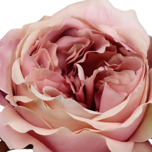 Floristik24 Rozenkop crème, roze 17cm 4st