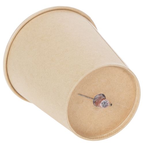 Artikel Geconserveerde rozenkoppen, romantisch cadeau, lang houdbare rozen voor speciale gelegenheden, 5 cm, 6 stuks