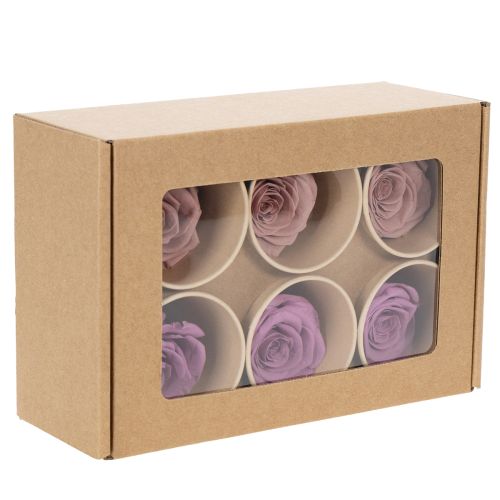 Artikel Geconserveerde rozenkoppen, romantisch cadeau, lang houdbare rozen voor speciale gelegenheden, 5 cm, 6 stuks