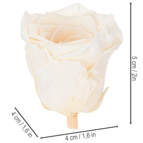 Artikel Rozenkoppen, geconserveerde bloemen voor elegante bloemstukken, 5 cm, 6 stuks