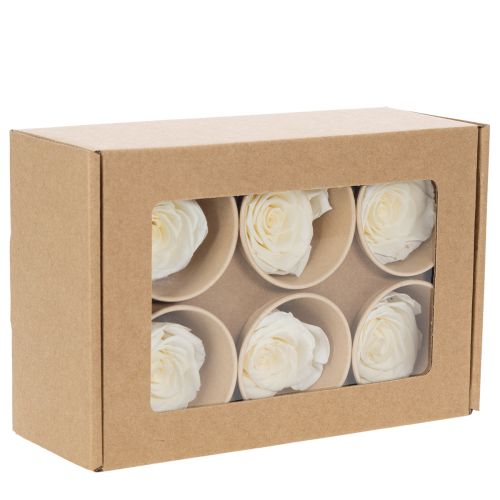 Artikel Geconserveerde rozenkoppen, duurzame tafeldecoratie voor een romantische sfeer, bruiloftsdecoratie, 5 cm, 6 stuks