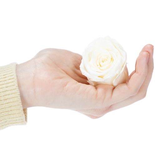 Artikel Geconserveerde rozenkoppen, duurzame tafeldecoratie voor een romantische sfeer, bruiloftsdecoratie, 5 cm, 6 stuks