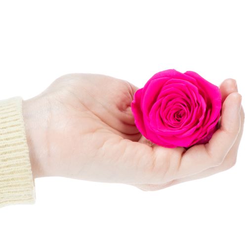 Artikel Geconserveerde rozendecoraties, echte bloemen voor tafeldecoratie, unieke en duurzame bloemen, 5 cm, 6 stuks